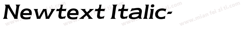 Newtext Italic字体转换